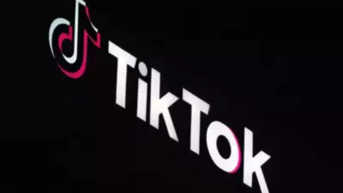 Tiktok stopped working for us users