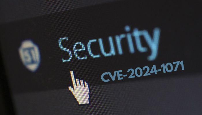 2024 cve review