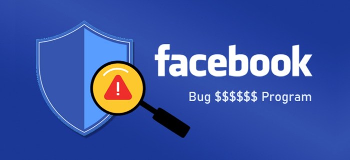 Facebook awarded 100000 bug bounty