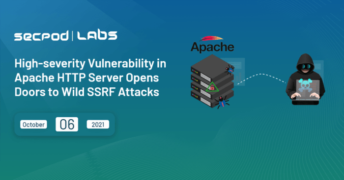 Apache hugegraph server vulnerability