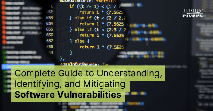 Vulnerability management tools