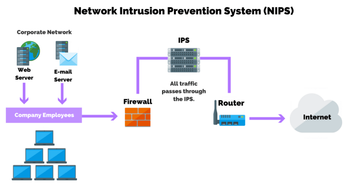 Detection intrusion systems networks