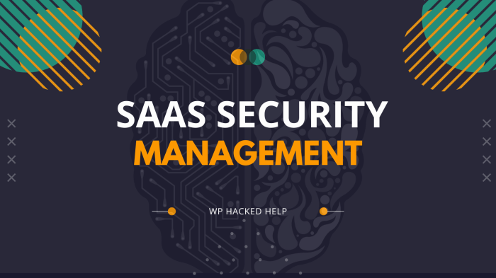 Saas security admin guide