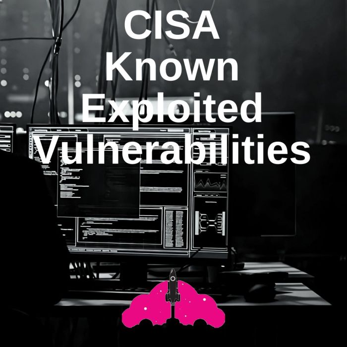 Cisa adds fortinet and microsoft zero day