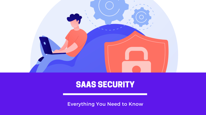 Saas security admin guide
