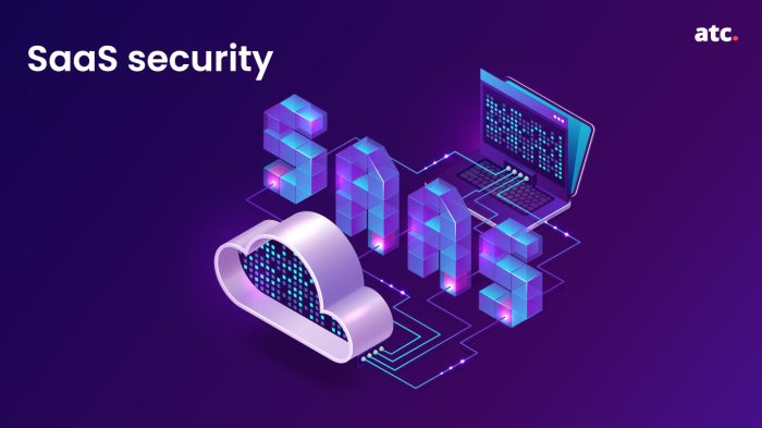 Saas security admin guide