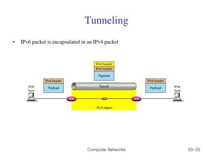 New tunneling protocol vulnerabilities