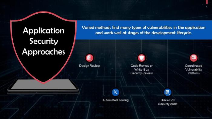Security application cyber certification