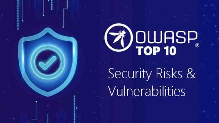 Owasp top 10 2025 smart contract