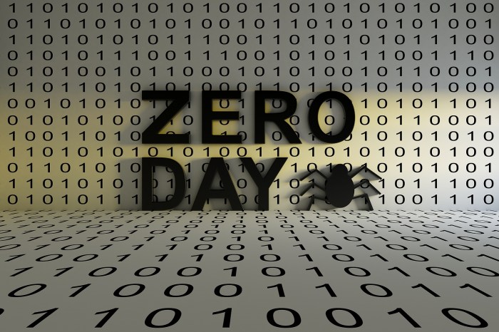 Fortinet zero day vulnerability cve 2024 55591